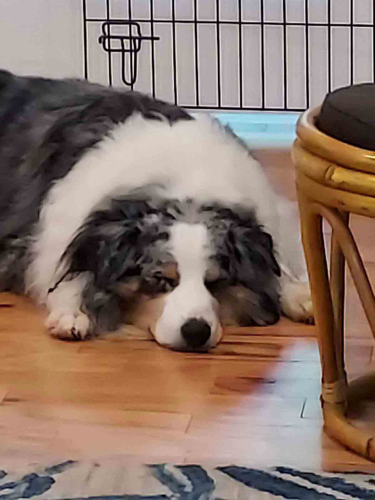 max-asleep