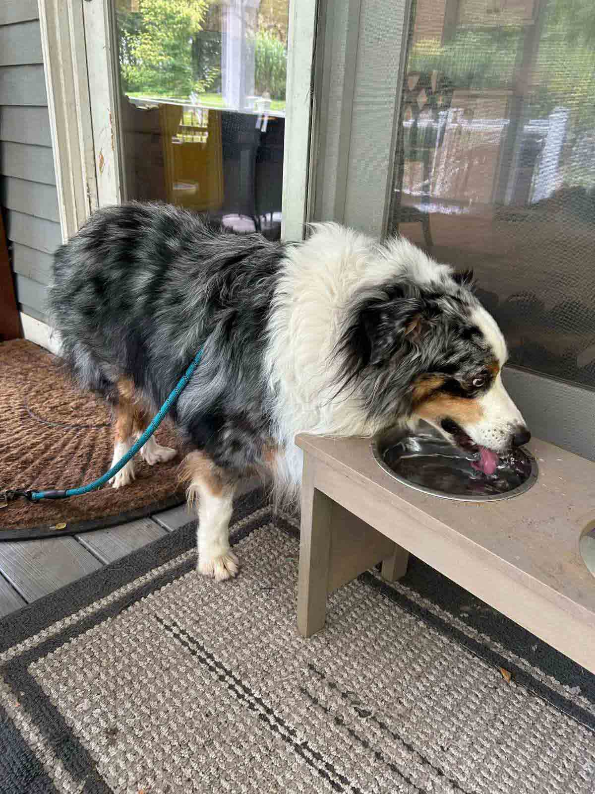 max-drinking-water
