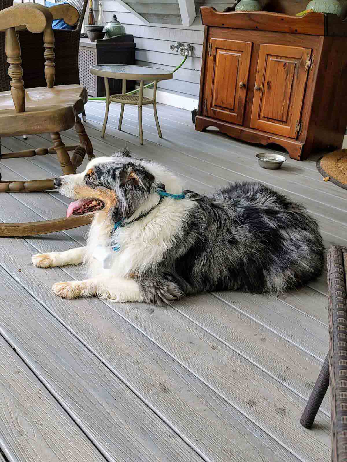 max-lying-down