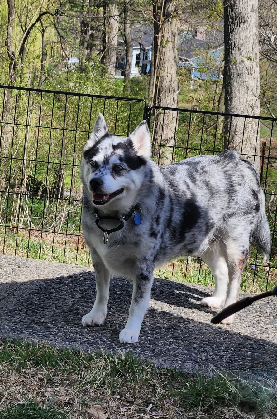 chloe standing smile