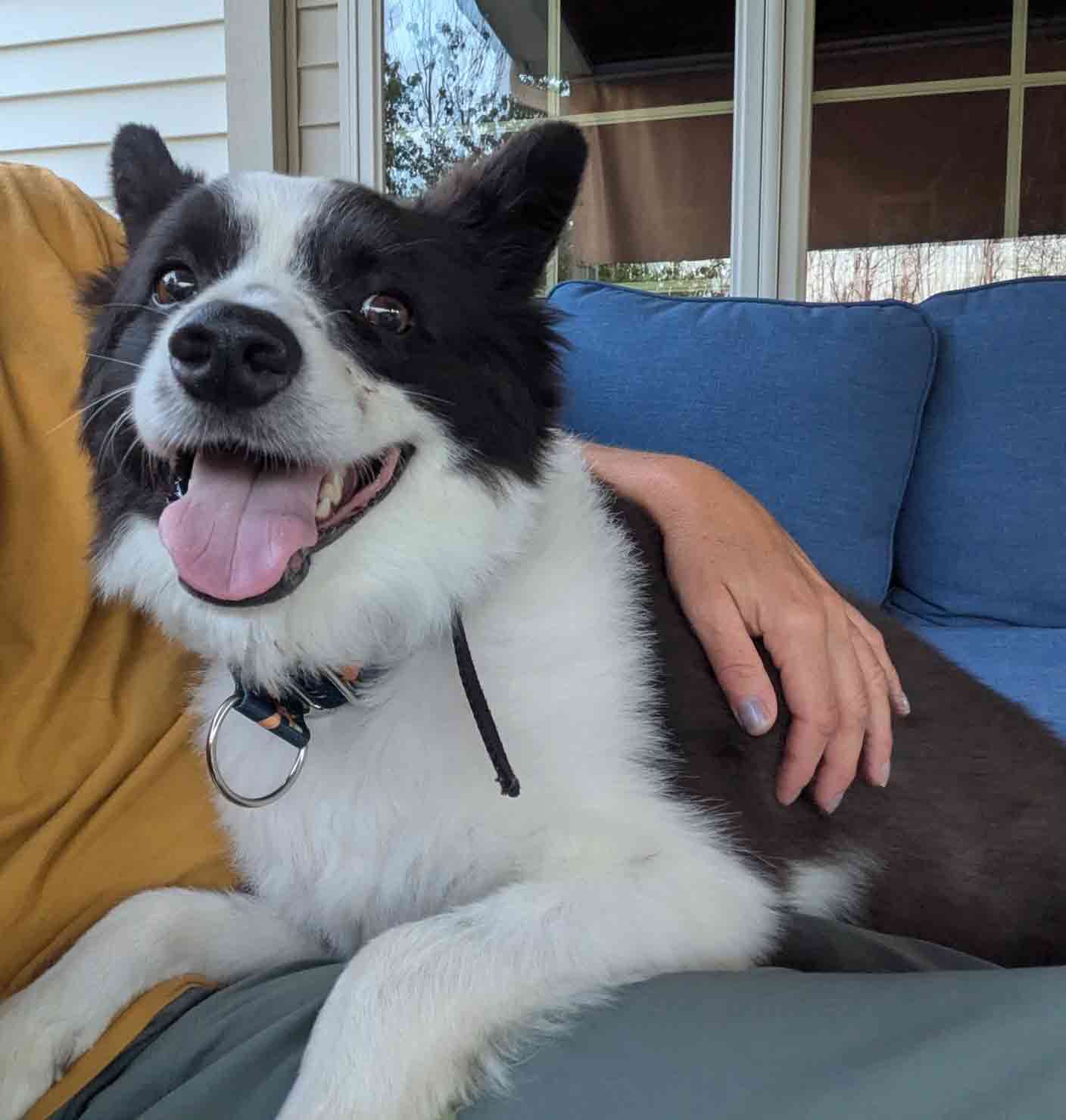 max-face