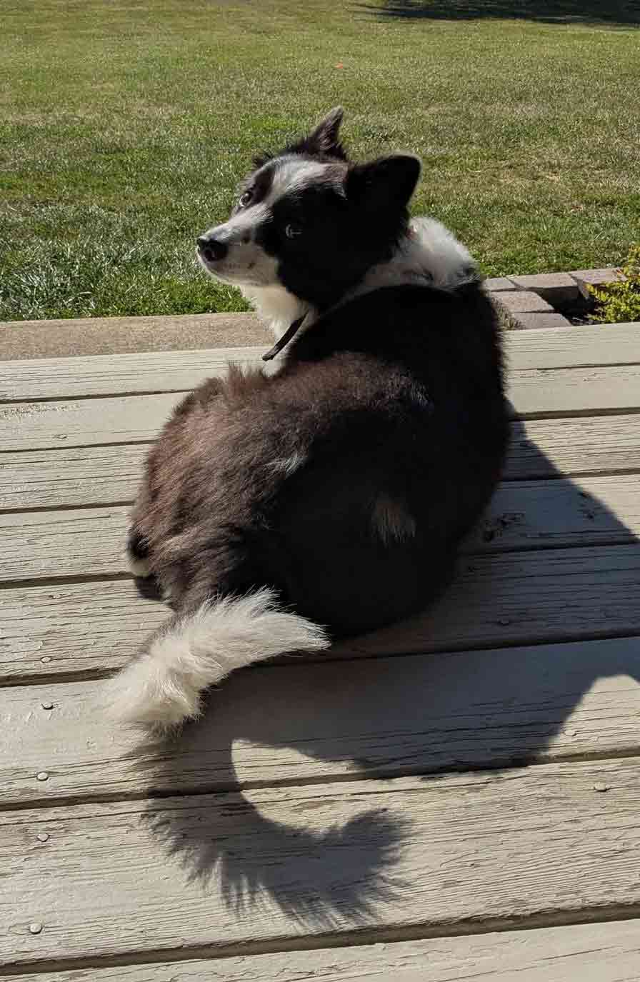 max-looking-over-his-shoulder