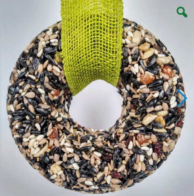birdseed-wreath