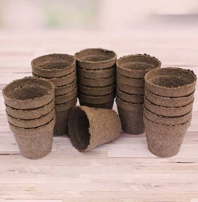 peat-pots