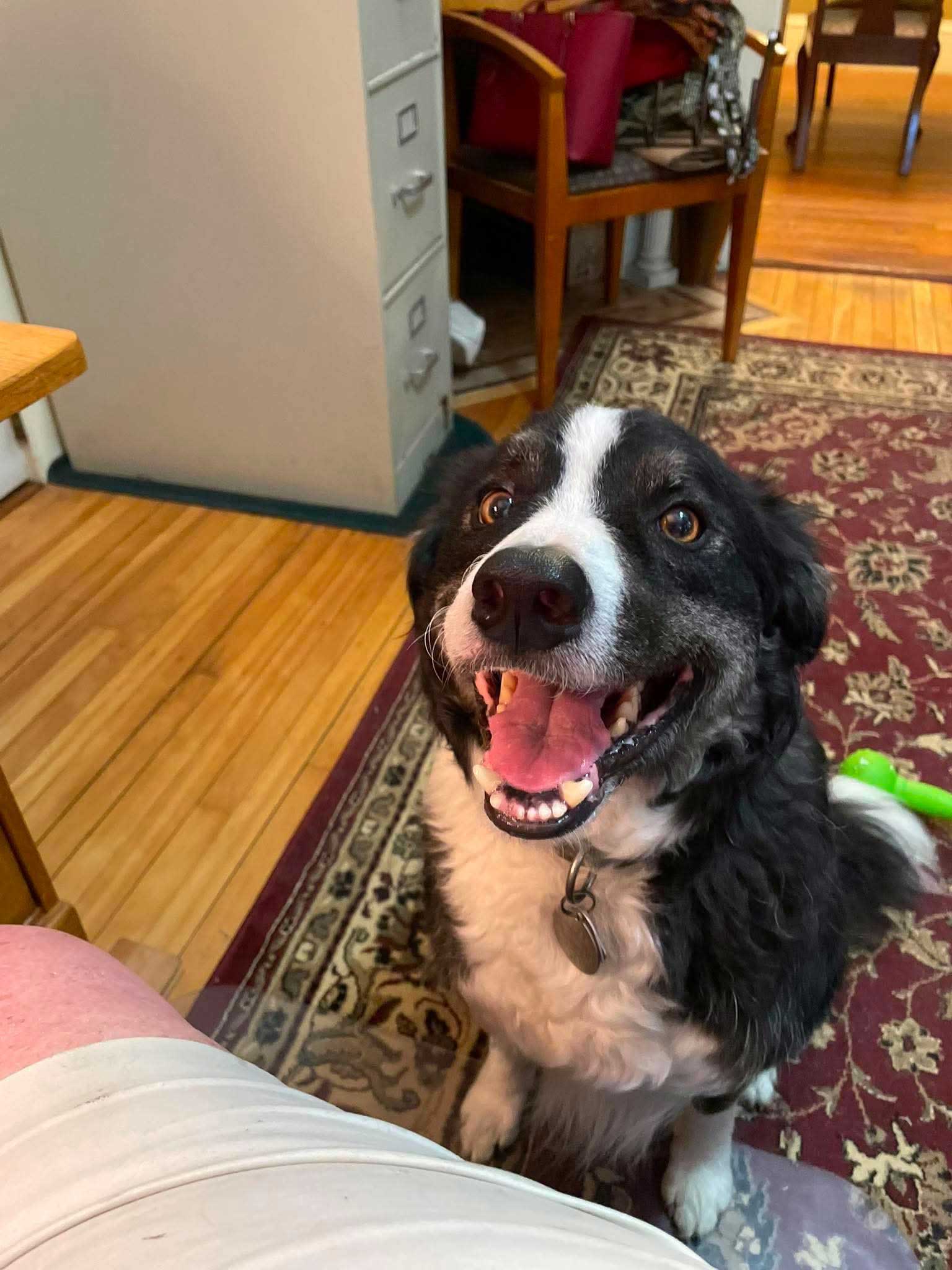 Ace sitting