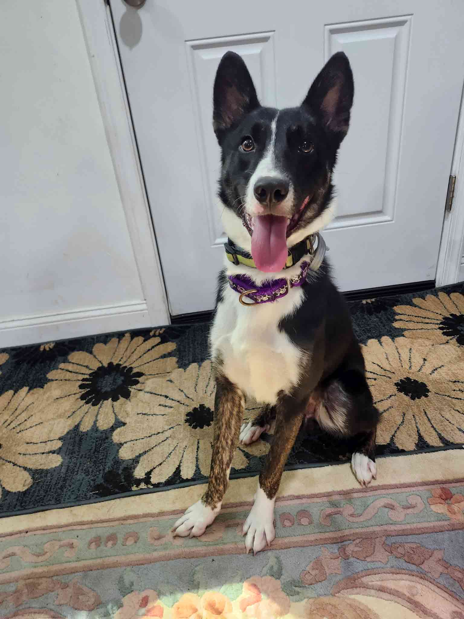Stone-sitting-with-a-smile
